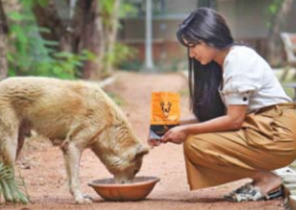 दु:खवेदनांची जाणीव डाॅगीची साेबत बदलते